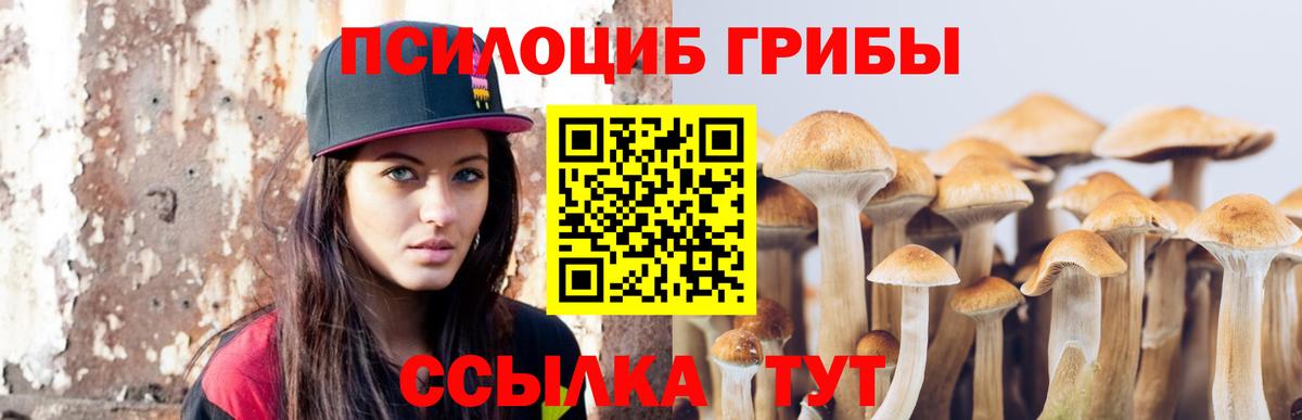Псилоцибиновые грибы мицелий Зеленодольск